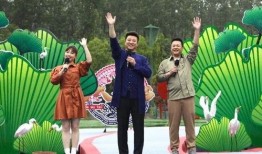 宜阳新闻爆料最新消息视频,视频揭示惊人真相！